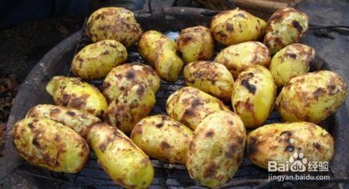 户外土豆爆料怎么做视频,视频制作攻略全解析 第3张 户外土豆爆料怎么做视频,视频制作攻略全解析 第3张